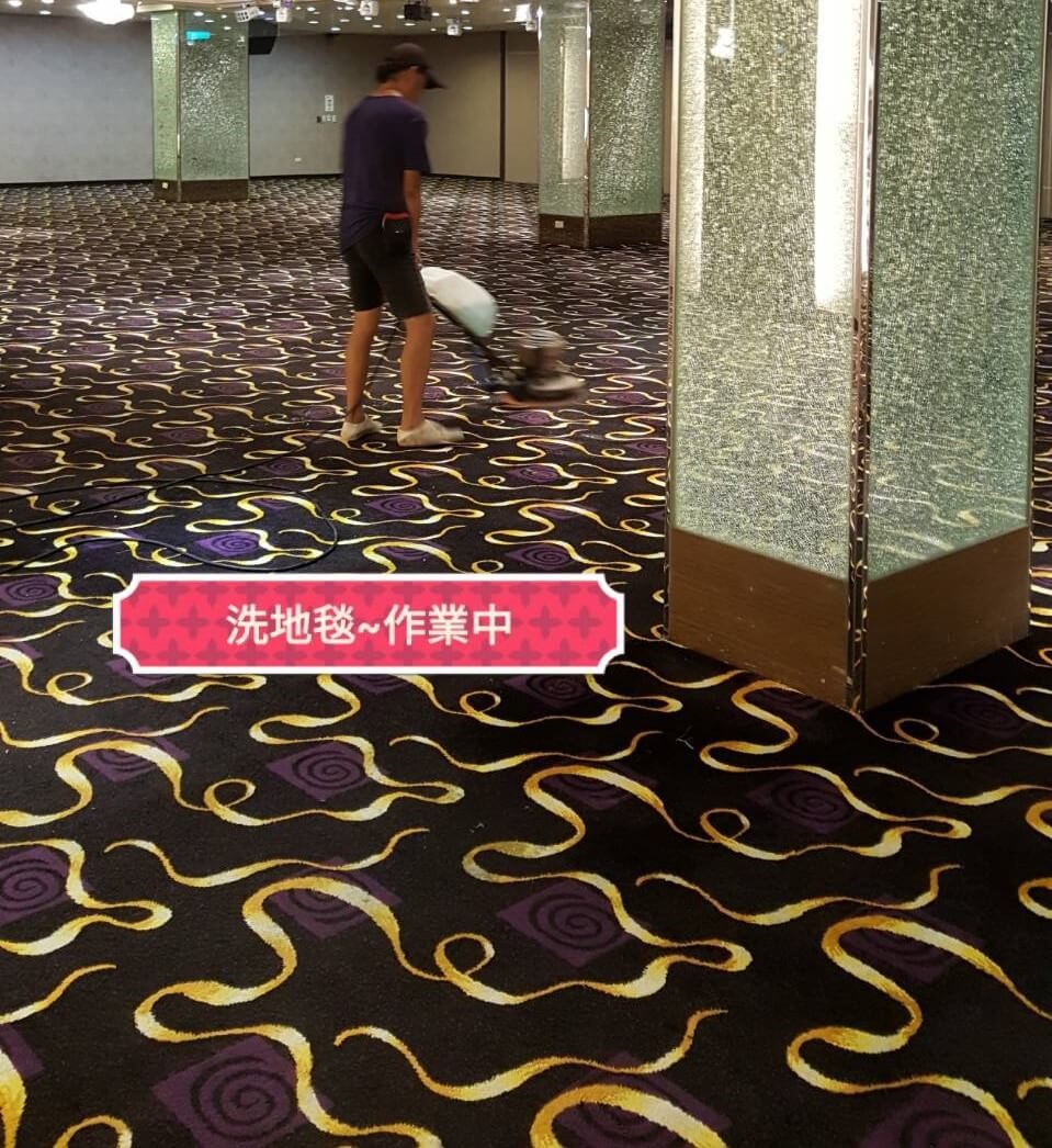 地毯清潔的第1張圖片